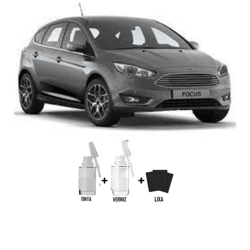 Tira Risco - Ford Cinza Ubatuba + Verniz 15ml