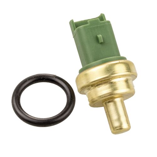 Cebolinha Temperatura C4 2008/2014  - 55482 - 44083