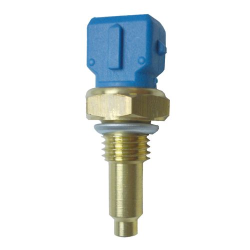 Cebolinha Temperatura PARATI 1996/2008 - 39794 - 4053