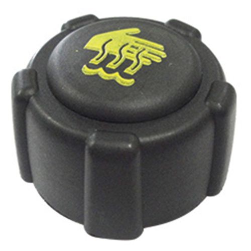 Tampa Reservatório Radiador SCENIC 1999/2010 - 44247 - 25753